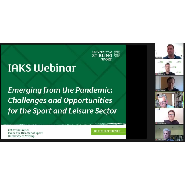 2021 UK Webinar Pandemic _screenshot panel