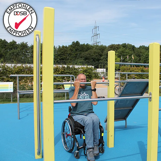 PLAYPARC-Calisthenics-alltogether_21_650.jpg